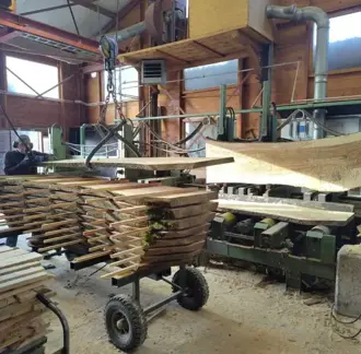 Stadshout Wageningen